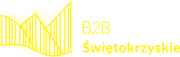 Kontrastowe Logo Platformy B2B